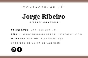 Dina Ferreira Marketing para PME's - Guimarães - Serviços de Apresentações