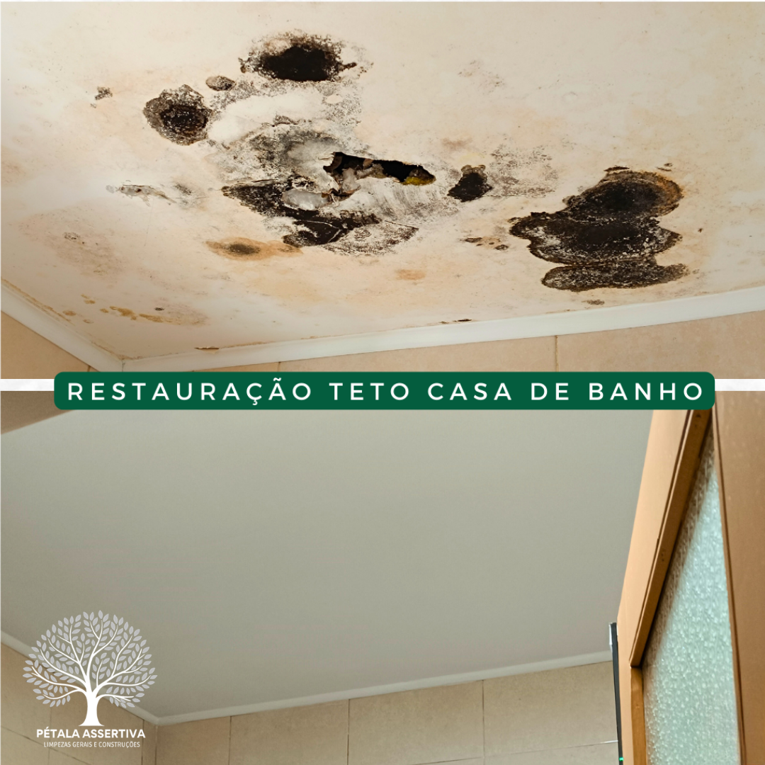 PÉTALA ASSERTIVA - Santa Maria da Feira - Limpeza Geral