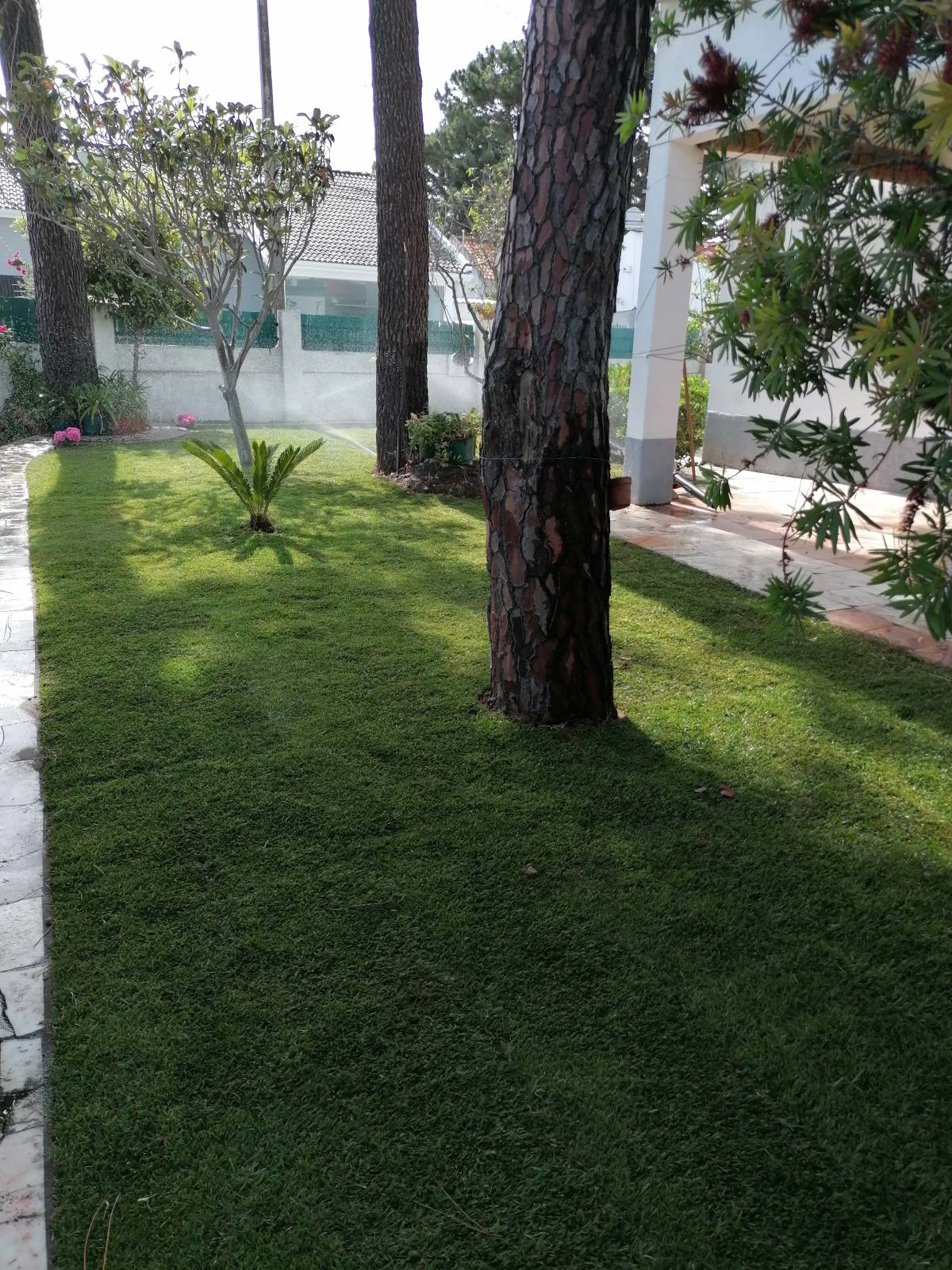 M.F JARDINS - Almada - Jardinagem