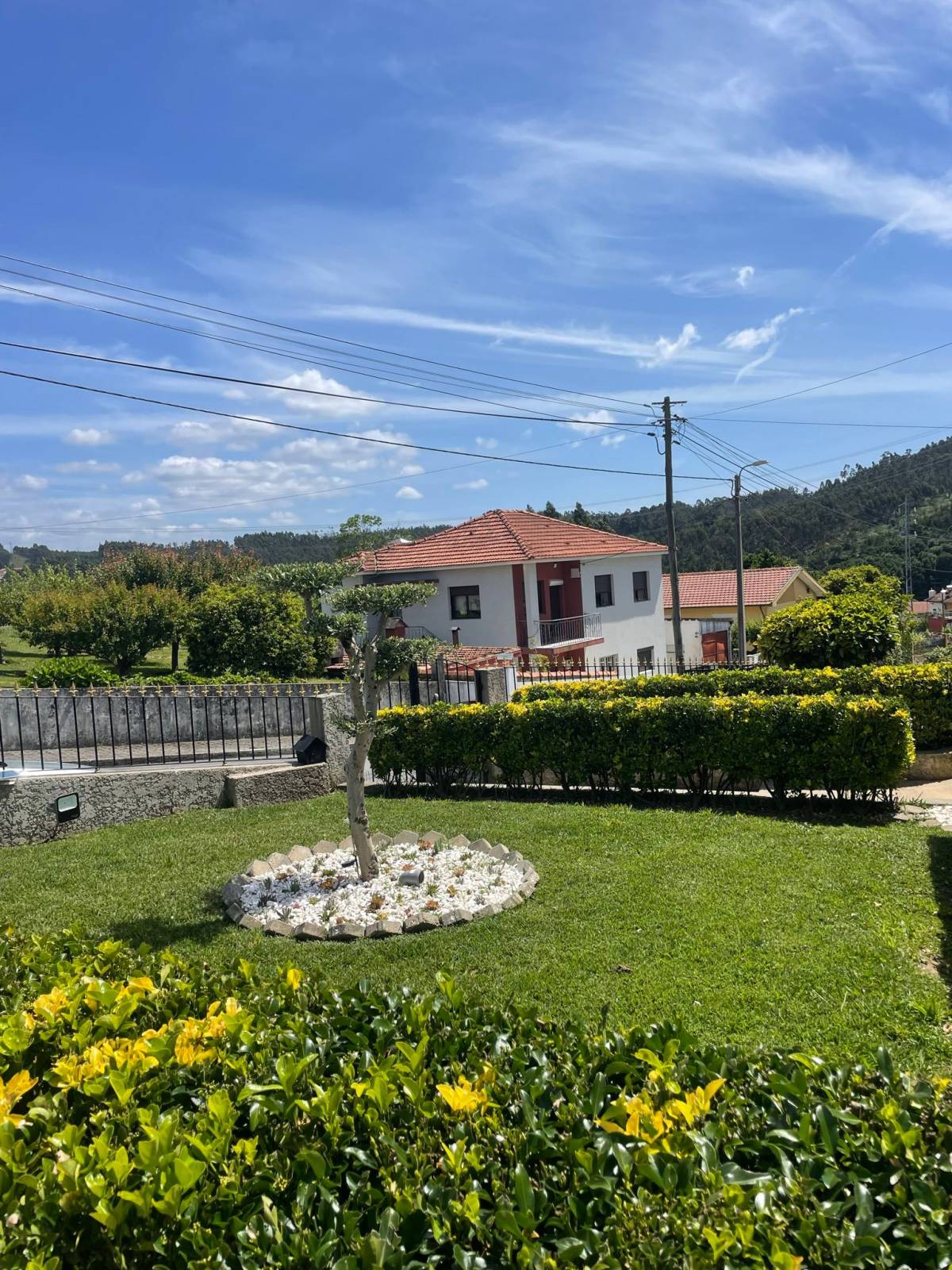 Espaços verdes do Alves - Vila Nova de Gaia - Greenhouse Services