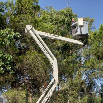 VMPgreen - Vila do Conde - Cortar y podar el césped