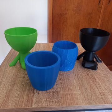 Catarina martins - Leiria - 3D Printing