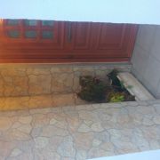 Renovaelimpa - Santarém - Cabinet Repair