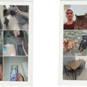 Dário Serviços Rápidos - Oeiras - Limpieza de propiedades