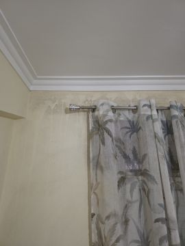 Especialista em Remoção de Bolor