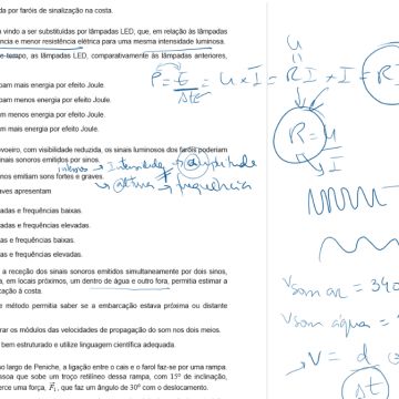 Sandra Lopes - Barcelos - Nachhilfe in Chemie