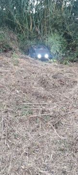 Jorge Pascoal, limpeza de terrenos desmatação e manutenção, sinta-se á vontade pois eu faço por si - Montemor-o-Velho - Remoção de Arbustos