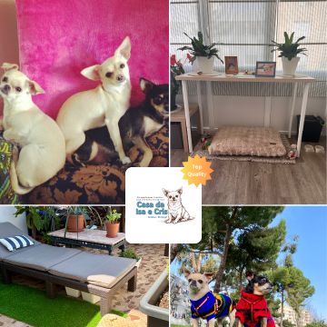 Ana Cristina Costa - Setúbal - Hundepension