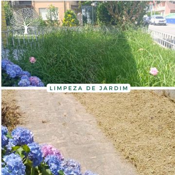 PÉTALA ASSERTIVA - Santa Maria da Feira - Limpeza de Janelas
