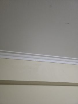 Especialista em Remoção de Bolor - Serviços Domésticos