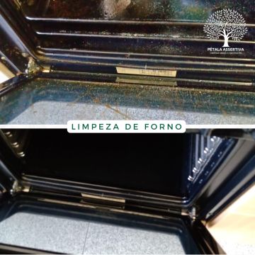 PÉTALA ASSERTIVA - Santa Maria da Feira - Limpeza ou Manutenção de Piscina