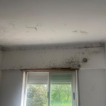 Sra. LIMPEZA - Porto - Limpeza de Estofos e Mobília