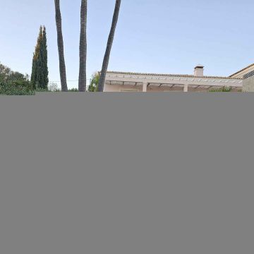 CC Jardins & Construção - Olhão - Shrub Removal
