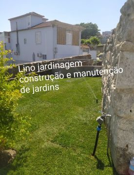 Lino Jardinagem - Maia - Shrub Removal