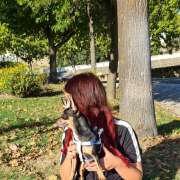 Sara sousa - Castelo Branco - Property Cleanup