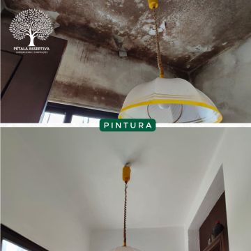 PÉTALA ASSERTIVA - Santa Maria da Feira - Limpeza da Casa (Recorrente)