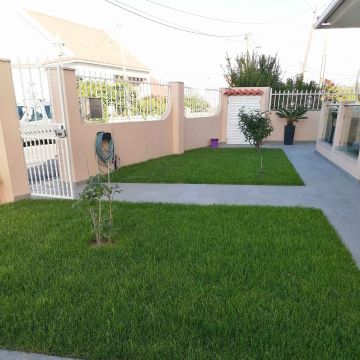 M.F JARDINS - Almada - Remoção de Tronco de Árvore