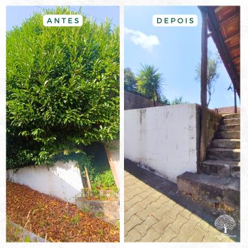 PÉTALA ADEQUADA - Santa Maria da Feira - Limpeza de Cortinados e Persianas