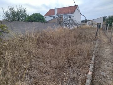 Especialista de Limpeza de Terrenos