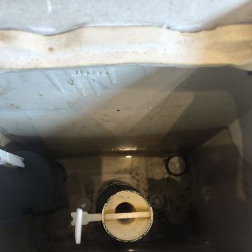 Envia24 - Braga - Controlo de Pragas