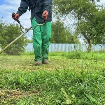 J D Serviços e Manutenções - Oeiras - Remoção de Tronco de Árvore