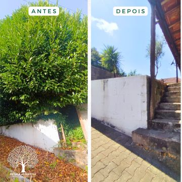 PÉTALA ASSERTIVA - Santa Maria da Feira - Remodelação de Cozinhas
