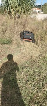 Jorge Pascoal, limpeza de terrenos desmatação e manutenção, sinta-se á vontade pois eu faço por si - Montemor-o-Velho - Remoção de Tronco de Árvore