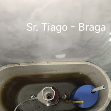 Envia24 - Braga - Reparação de Sanita