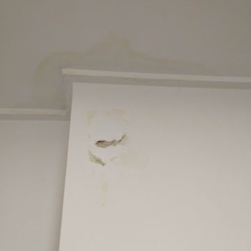 Interior Painter