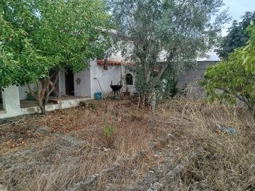 Jardinagem e Relvados