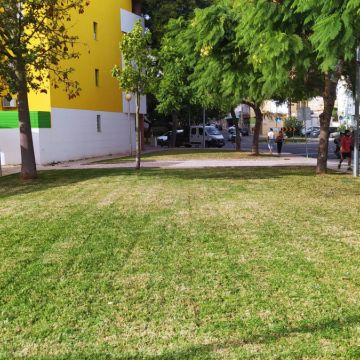 VMPgreen - Vila do Conde - Eliminación de arbustos