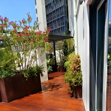 Aleks - Lisboa - Instalação de Alcatifa