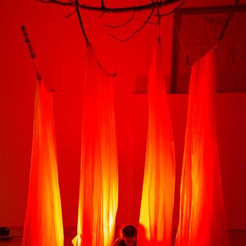 Mariana Costa - Oeiras - Picture Hanging and Art Installation