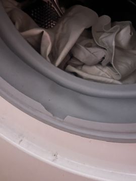 Washing Machine Repairman