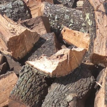 Sombras D´Inverno - Castro Verde - Shrub Removal