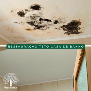 PÉTALA ASSERTIVA - Santa Maria da Feira - Limpeza Geral