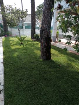 M.F JARDINS - Almada - Jardinagem