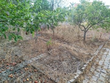 Limpeza de Terrenos