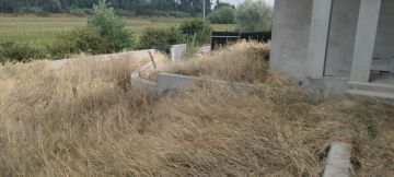 Jorge Pascoal, limpeza de terrenos desmatação e manutenção, sinta-se á vontade pois eu faço por si - Montemor-o-Velho - Jardinagem e Relvados