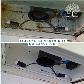 PÉTALA ASSERTIVA - Santa Maria da Feira - Limpeza de Tapete