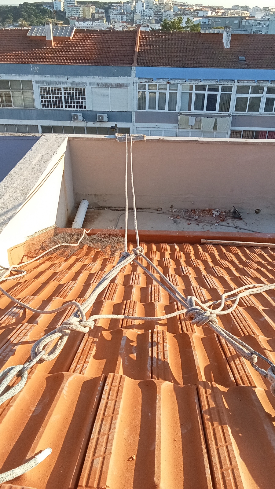 Jotta repara - Sintra - Exterior Painting