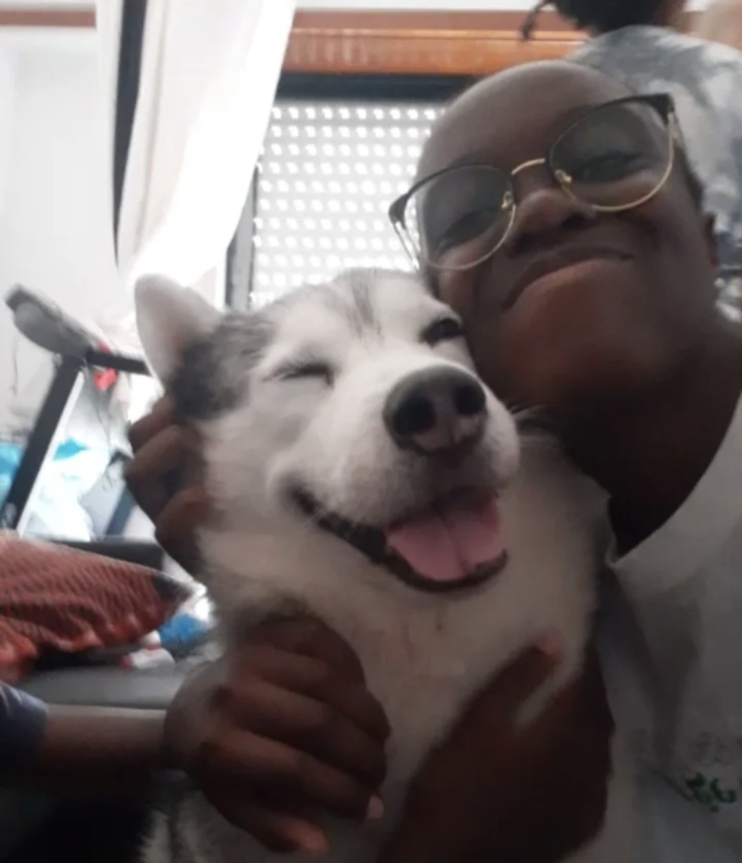 Elly Pet Care Almada - Seixal - Dog Sitting