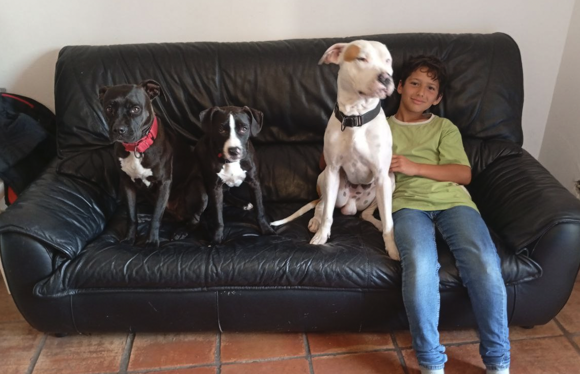 Happy Paws Care - Mafra - Mafra - Haustierpflege