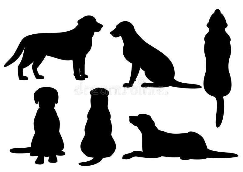 Márcia Tomé - Seixal - Dog Hotel