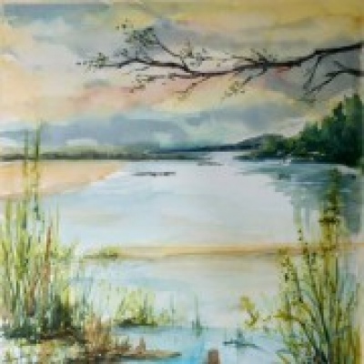 JMFerreira.arte - Torres Vedras - Hotel para Gatos