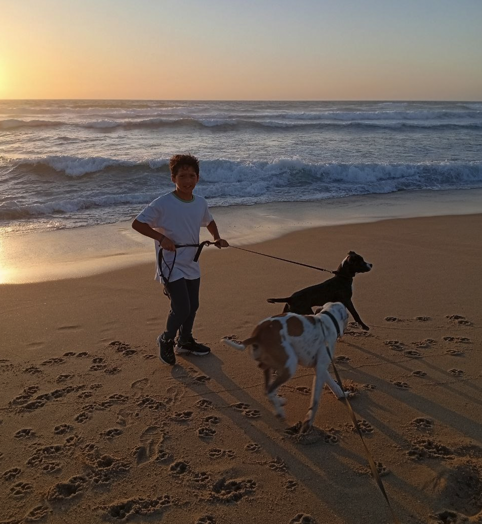 Happy Paws Care - Mafra - Mafra - Außenanstrich