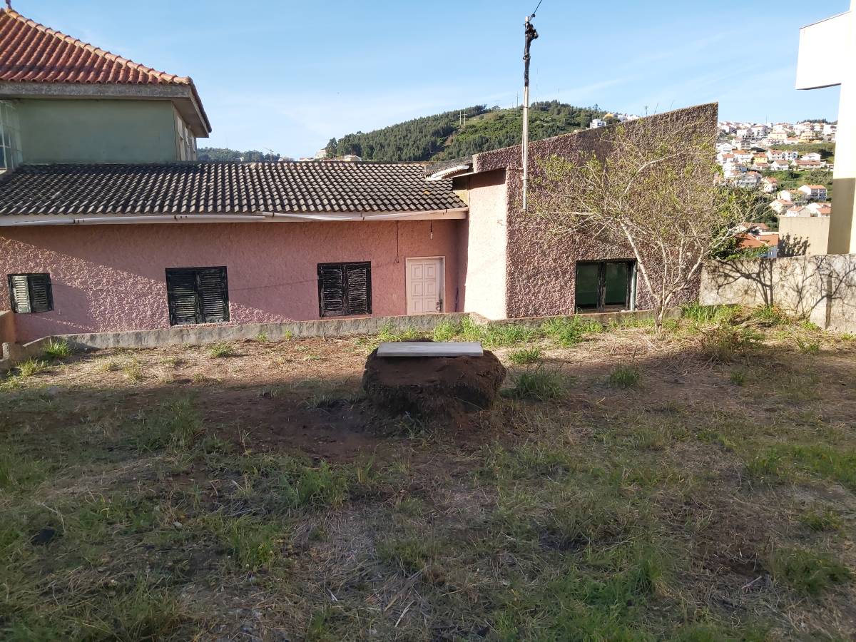 João Moreira - Odivelas - Gardening