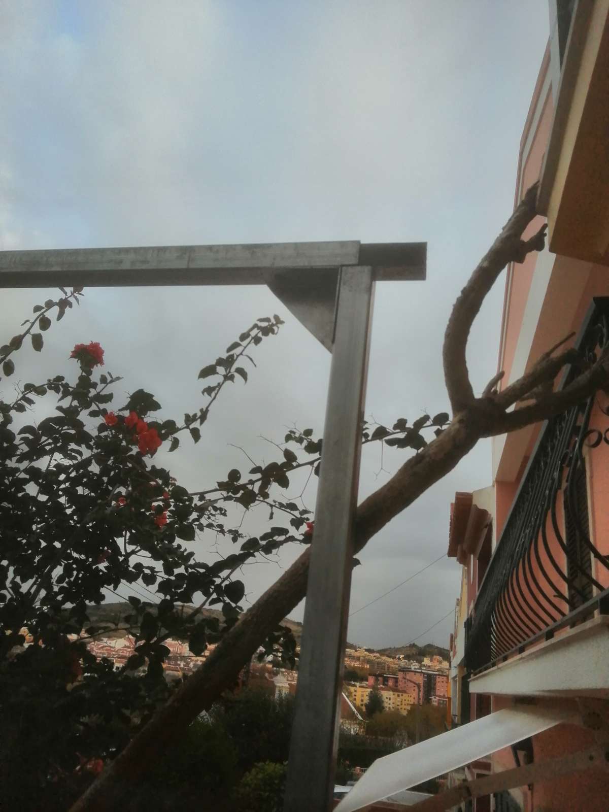 Carlos Freitas - Torres Vedras - Roofing