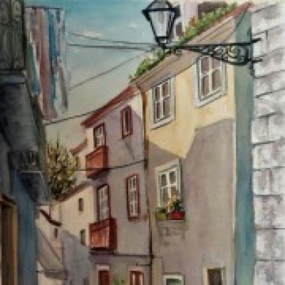 JMFerreira.arte - Torres Vedras - Cat Sitting