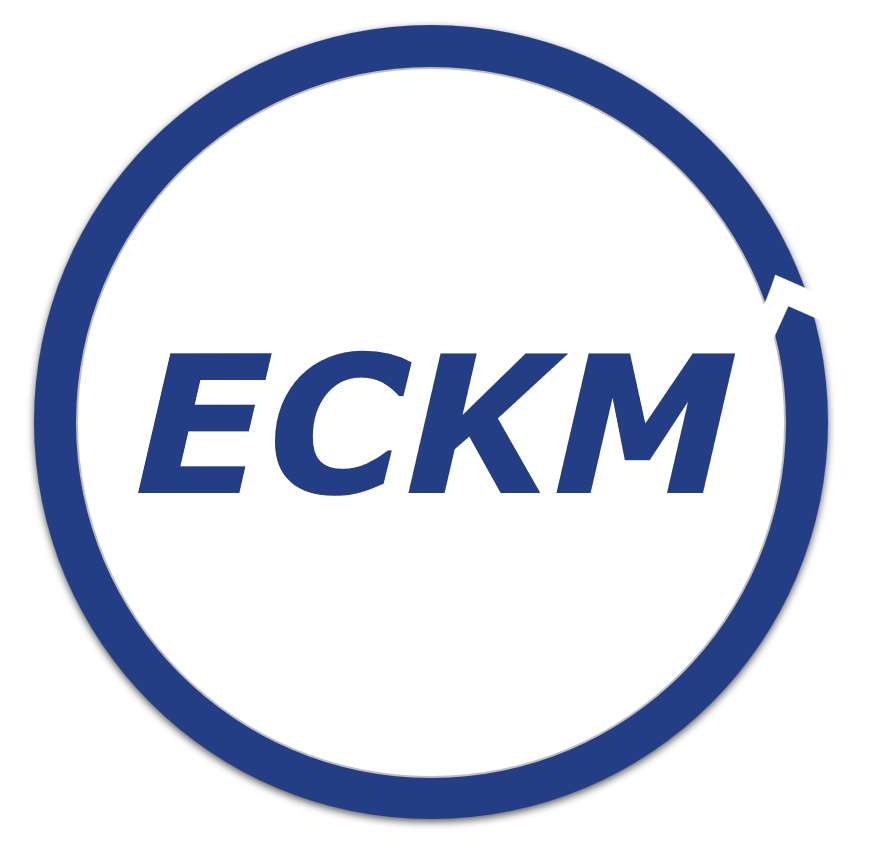 ECKM - European Consulting on Knowledge and Management - Lisboa - Análise Estatística